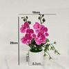 Multicolor Butterfly Orchid Artificial Flower Plastic Faux Moth Orchid Potted  Desktop Oranemnt