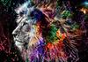 Ob_L_185 Diamond Painting 30X40 - Zwierzeta, Lew