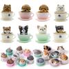 Cute Simulation Teacup Cat and Dog Mini Animal Miniature Landscape Decoration Garden Bonsai Decoration Gift Toy Cake decoration Figure