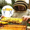 Efficient Beekeeping Apiary Essential Tool Stainless Steel Frame With Bright Yellow Plastic Handle For Secure Lifting