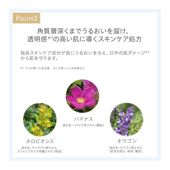 Natura Glace Skin Treatment Foundation N NO1 Bright Skin Tone SPF50+ PA+++ Soap-off Plant-based Skin Care Ingredients Organic
