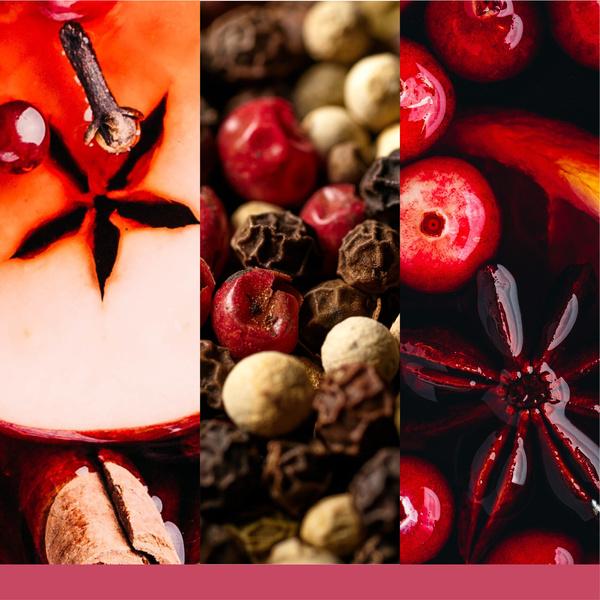 Yankee Candle Signature Große Kerze im Glas Santa auf Skiern 567g