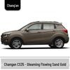 Touch-Up Paint Pen for 13 Changan Models: UNI-T, Yuexiang, Yidong, Zhishang, Ruicheng, Benben, Nuo Mi Yu