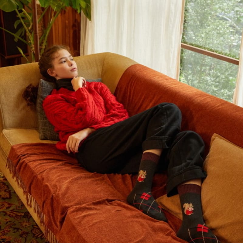 

SOCKS APPEAL argyle letter squirrel free