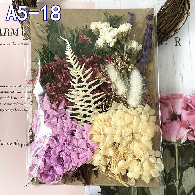 Exquisite Eternal Dry Flower Ancient Style Group Fan Material Pack for Children's Handmade Exclusive Decoration Dried Flowers
