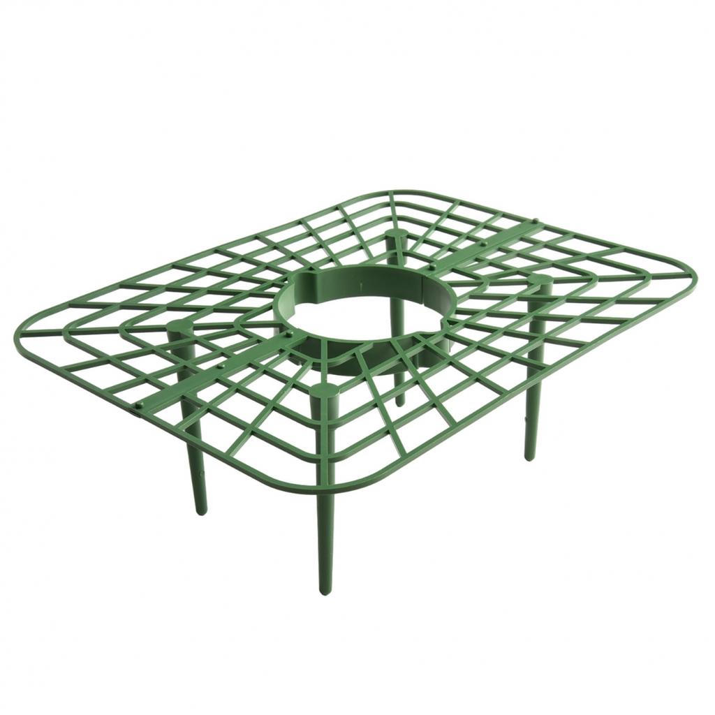 Stable and Sturdy Strawberry Supports Keep Plants Upright and Off the Ground