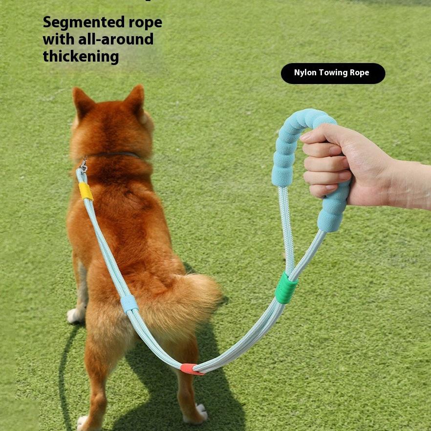5ft Large Dog Leash for Golden Retriever & Labrador Eco-friendly Polyester Traction Rope Chain Animal Pattern for Outgoing Dogs