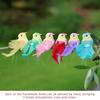 Simulated Long-Tailed Feather Bird Figurine Model Set Artificial Birds Ornament Colorful Feathered Home Garden Decoration