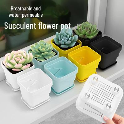 Boligdekorationer – Dekorative blomsterpotter