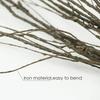 10Pcs 30.7" Curly Willow Branches, Artificial Flowers Twigs Decorative Sticks Stem, Dry Bendable Tree Branches for DIY Craft Home Room Wedding Floor