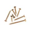 Sanmeng Cross Recessed Countersunk Drywall Screws