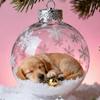 Christmas Ball Shatterproof Hangable Decoration Transparent Dog Balls For Tree For Shopping Mall Bedroom Window Store Home