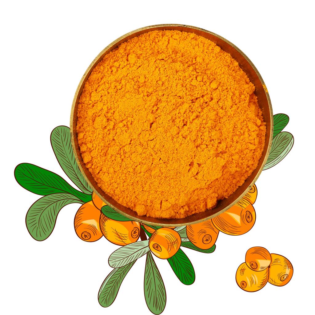 CONSA Biologisch Duindoornbes Poeder (200 Gram) - 100% Puur Zeevenkelpoeder - Bron van Diverse Vitaminen & Mineralen