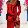 Women Plus Size V Neck Long Sleeve Abstract Swirl Printed A Line Dress
