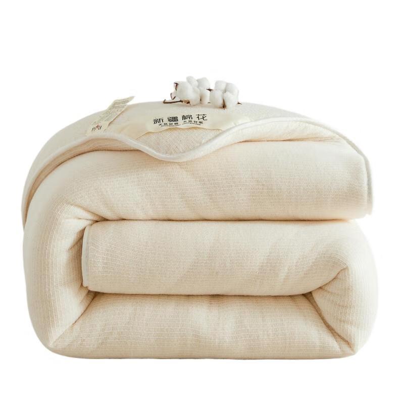 LISM 2025 Xinjiang Long-Staple Cotton Winter Duvet Insert