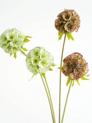 Green Artificial Windmill Fruit Flower for Home Wedding Decor Autumn Purple Artificial Flower DIY Bridal Bouquet Arrangements