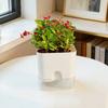 Square Self Watering Pot with Drainage Hole Clear Reservoir Indoor Outdoor Plants Planting Pot Herbs Succulents Flower Planter with Wick Rope
