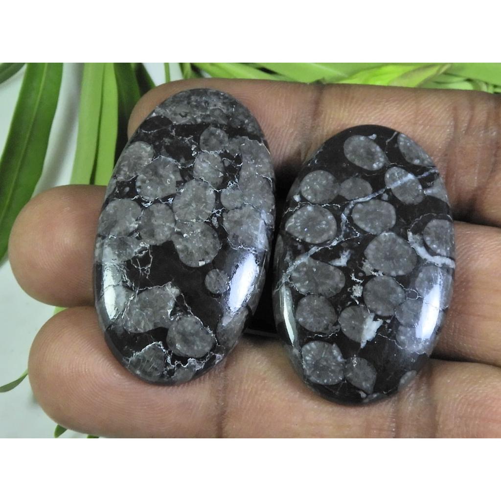 2Pcs 90Cts. Natural Black Fossil Coral Oval Cabochon Gemstone 23X38-23X41MM A-104