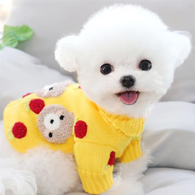 Fycakly Hundekleid Samt-Hoodie - Winterkleidung Für Kleine Hunde In Blau