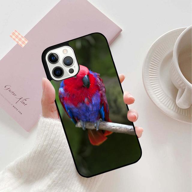 Animal Macaw Parrot Colourful Phone Case Back Cover for iPhone 17 Air 16 15 14 13 11 12 Pro Max Plus Shell Coque