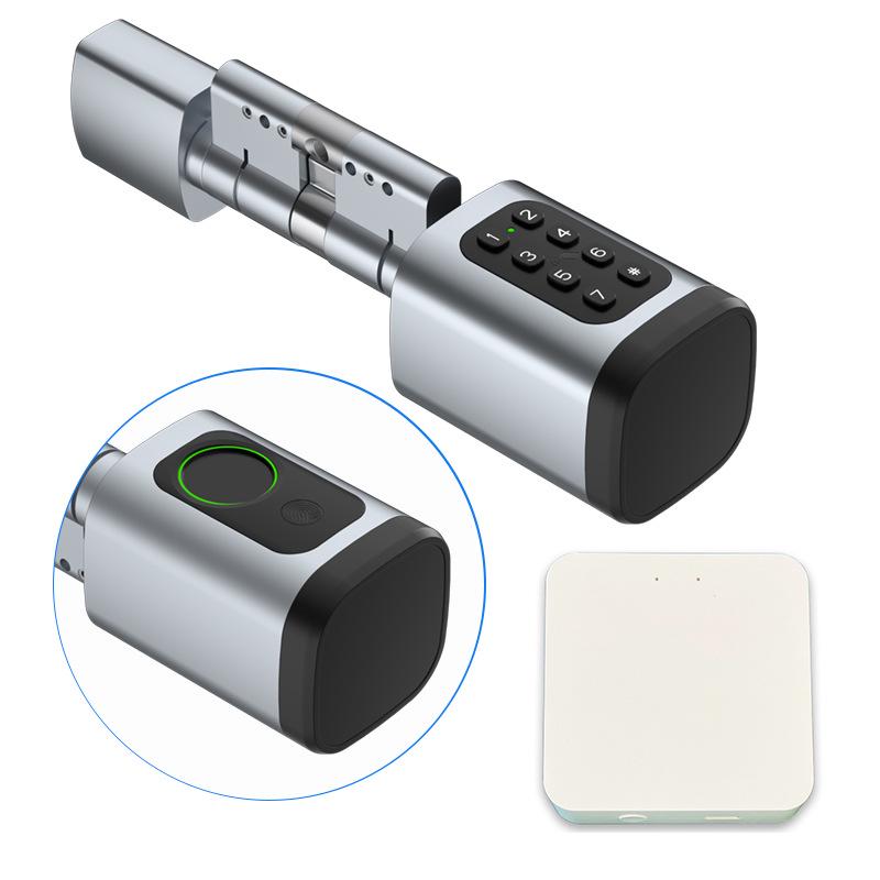 Aluminum Alloy No-Hole Smart Lock Core: Keyless Entry with Password, Fingerprint, and Card Swipe.