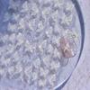 Shell Light Fairy Clear Butterfly Nail Art Sticker Huge Butterfly New Aurora Pure Desire Butterfly Nail Sticker