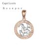 FJ 12 Zodiac Sign 585 Gold Color Constellation Rose Pendants Capricorn/Gemini Twisted + 50cm Chain Women Men Zircon