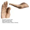 Pair Hand Statues Incense Holder Resin Incense Burner Ash Catcher Decorative Incense