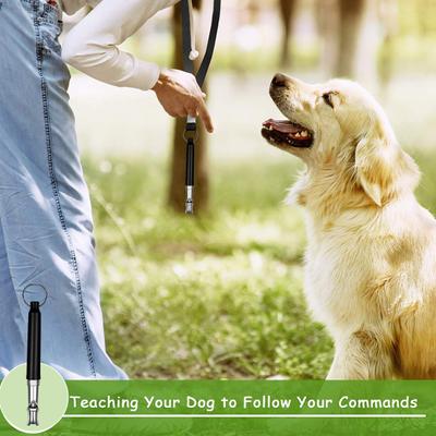 Hundepfeife Professionelle Rückruf Hundetrainingspfeifen mit Lanyard Einstellbar Ultraschall Leise