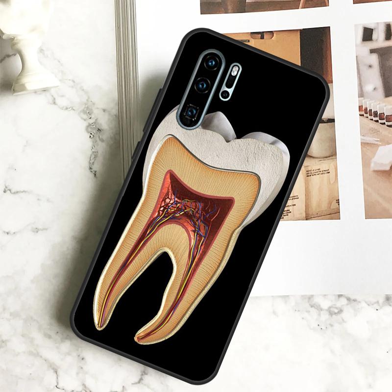 Human Tooth Anatomy For Huawei Nova 7i 8i 11i 12i 12s Y73 Y70 Y90 Y60 Y72 Y61 Y91 9 10 SE P40 Lite P30 Pro Case