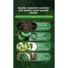 Hnojivo pro specifické orchideje Hnojivo s pomalým uvolňováním Gentleman Orchid Butterfly Orchid Specifické Podporuje kvetení