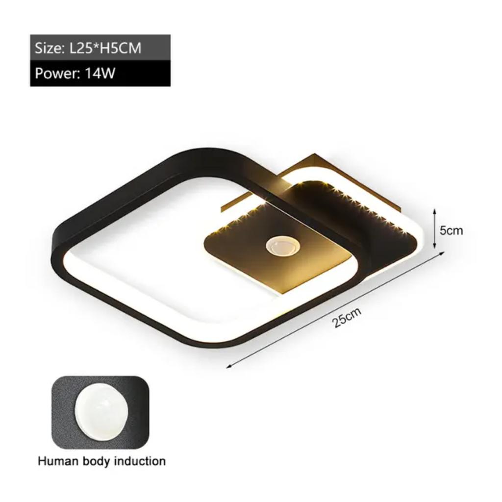 New Human PIR Motion Sensor  Ceiling Lights  Corridor Balcony Bedroom Indoor Ceiling Lamps Induction Lighting Decor