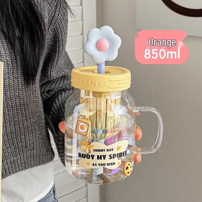 Borosilicate Glass Tea Infuser Bottle with Straw