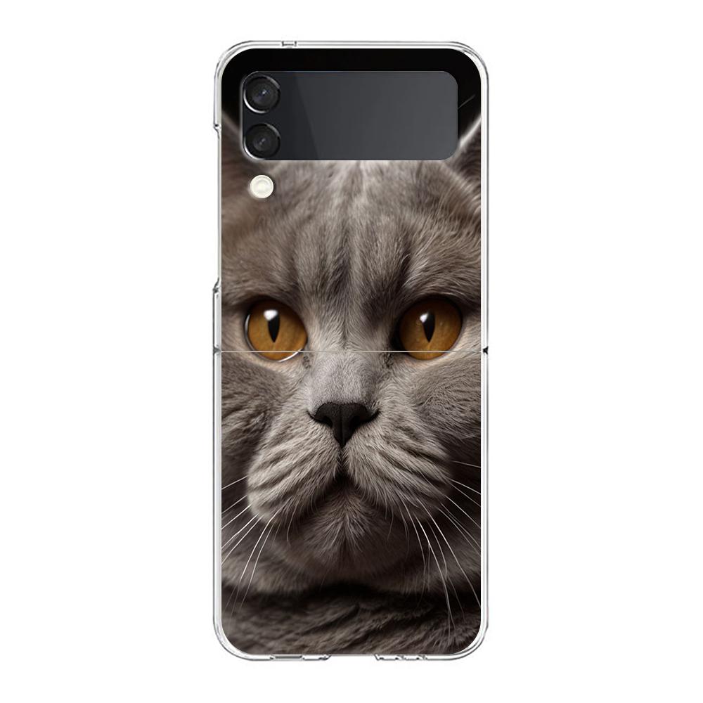 Cover per Telefono Per Samsung Galaxy Z Flip 7 6 5 4 Custodia Trasparente Per Samsung Z Flip 3 PC Rigido Pieghevole Gatto British Shorthair Carino