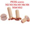 M2 M3 M4 M5 M6 M8 M10 M12 x4-50mm PEEK Nylon Schlitz Senkkopf Flachkopf Schrauben Bolzen Elektrizität Isolation Hohe Temperatur