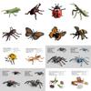 Realistic Pvc Insect Bees Spiders Model Set For Science Education And Collection Display