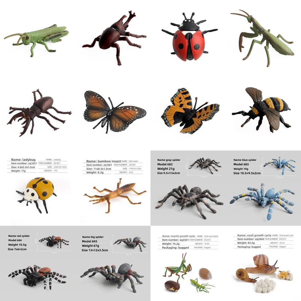 Realistic Pvc Insect Bees Spiders Model Set For Science Education And Collection Display