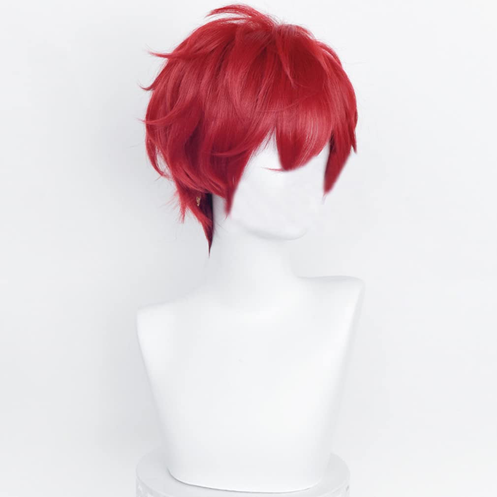 LAOBAO Cosplay Wig - Amagi Iori - Heat Resistant, Disguise Wig, Red - Costume Accessory for Parties, Halloween, Fancy Dress, School Festivals, Events