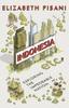 The Indonesia Etc. : Exploring the Improbable Nation Book