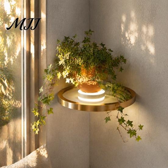 Luxury Metal Wall Organizer Floating Shelf with LED Light, Modern Gold Display Rack Shelves Led Lights for Plants Book, Space Saving Mounted