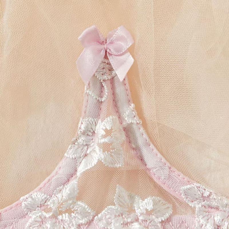 New Hair Delivery Floral Embroidered Mesh Bra and Panties Sexy Underwear Set Pink and Sweet