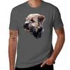 T-shirt Border Terrier grafiche divertenti top abbigliamento uomo