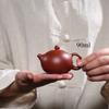 Small Capacity Dahongpao Beauty Teapot Yixing Purple Clay Filter Tea Infuser Chinese Tea Ceremony Supplies Traditional Teaware