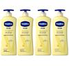 Vaseline Daily Care Repair Body Lotion