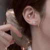 Screwing Screw Earrings, Earbone Nails, Annual Raising Ear Hole Earrings, Women