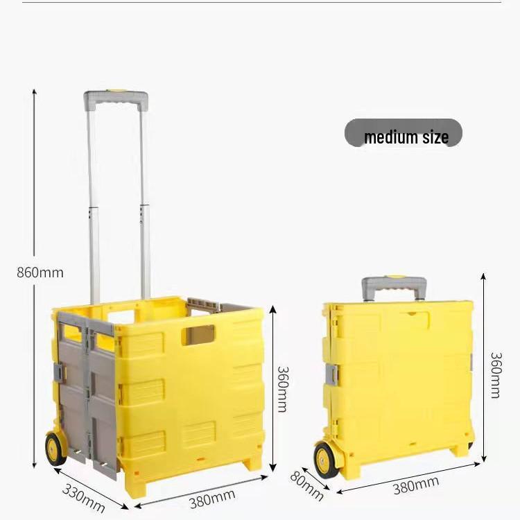Compact Two-Wheeled Folding Trolley Cart with Portable Pull Rod