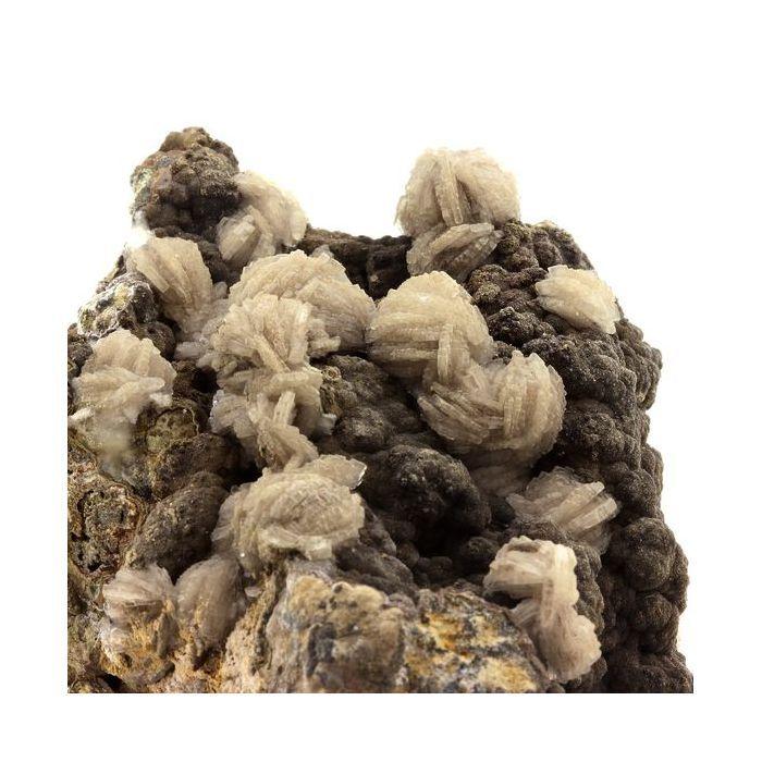 Pierres et Minéraux. Baryte + Pyrite. 2450.0 ct. Saint-Laurent-le-Minier, Occitanie, France.