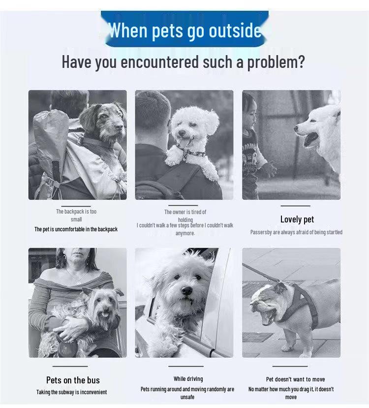 Portable Crossbody Pet Carrier | Breathable Bag for Cats & Dogs
