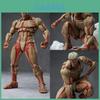 Attack On Titan The Armored Titan Pvc Model Ornament With Articulated Parts For Display