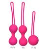 Kegel Ball Ben Wa Ball Vagina Tighten Exercise Machine Vaginal Geisha Ball Sex Toys for Women